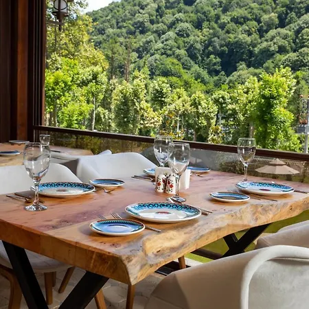 Casa Giallo Managed By Dedeman * Sapanca