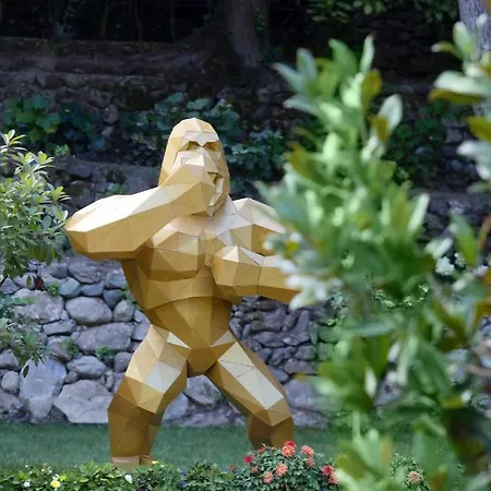 Casa Giallo Managed By Dedeman * Sapanca